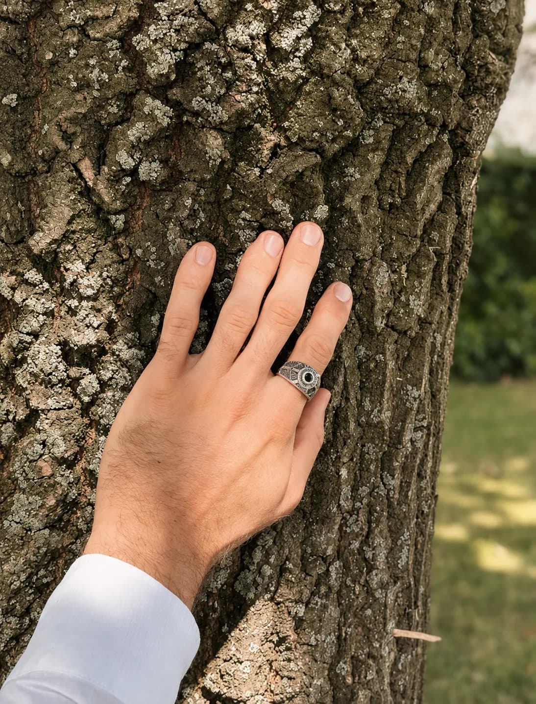Hand berührt Baumrinde im Wald