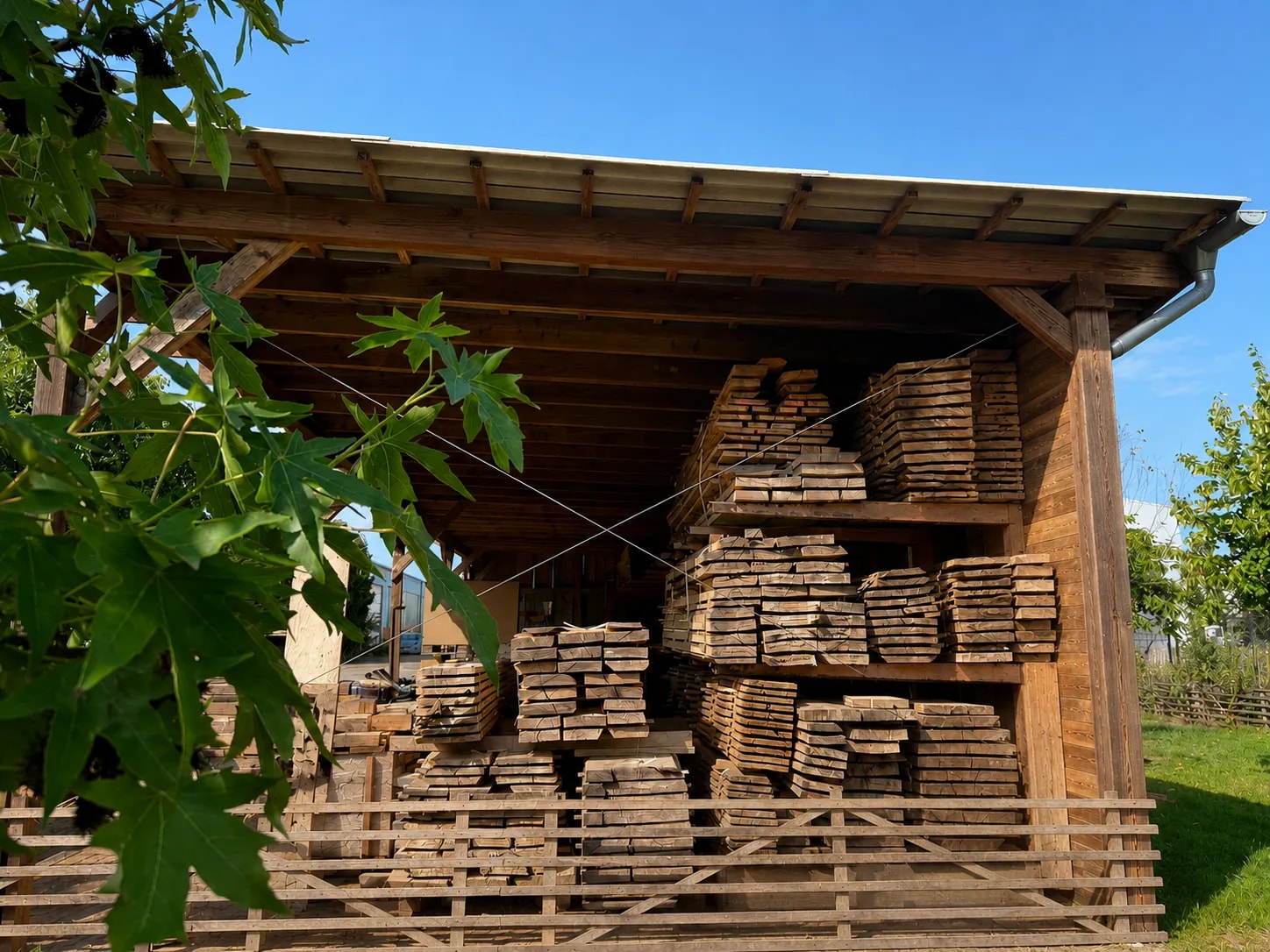 Holzbohlen bei der Trocknung