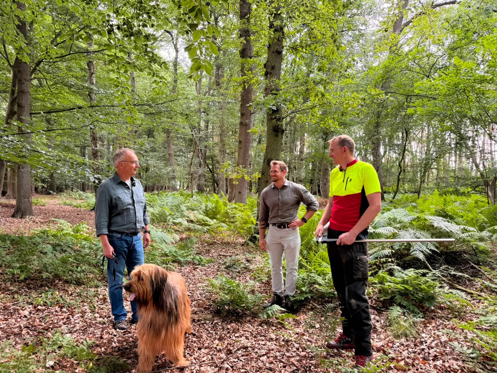 Regionaler Wald als Ursprung für Bormann Materialien